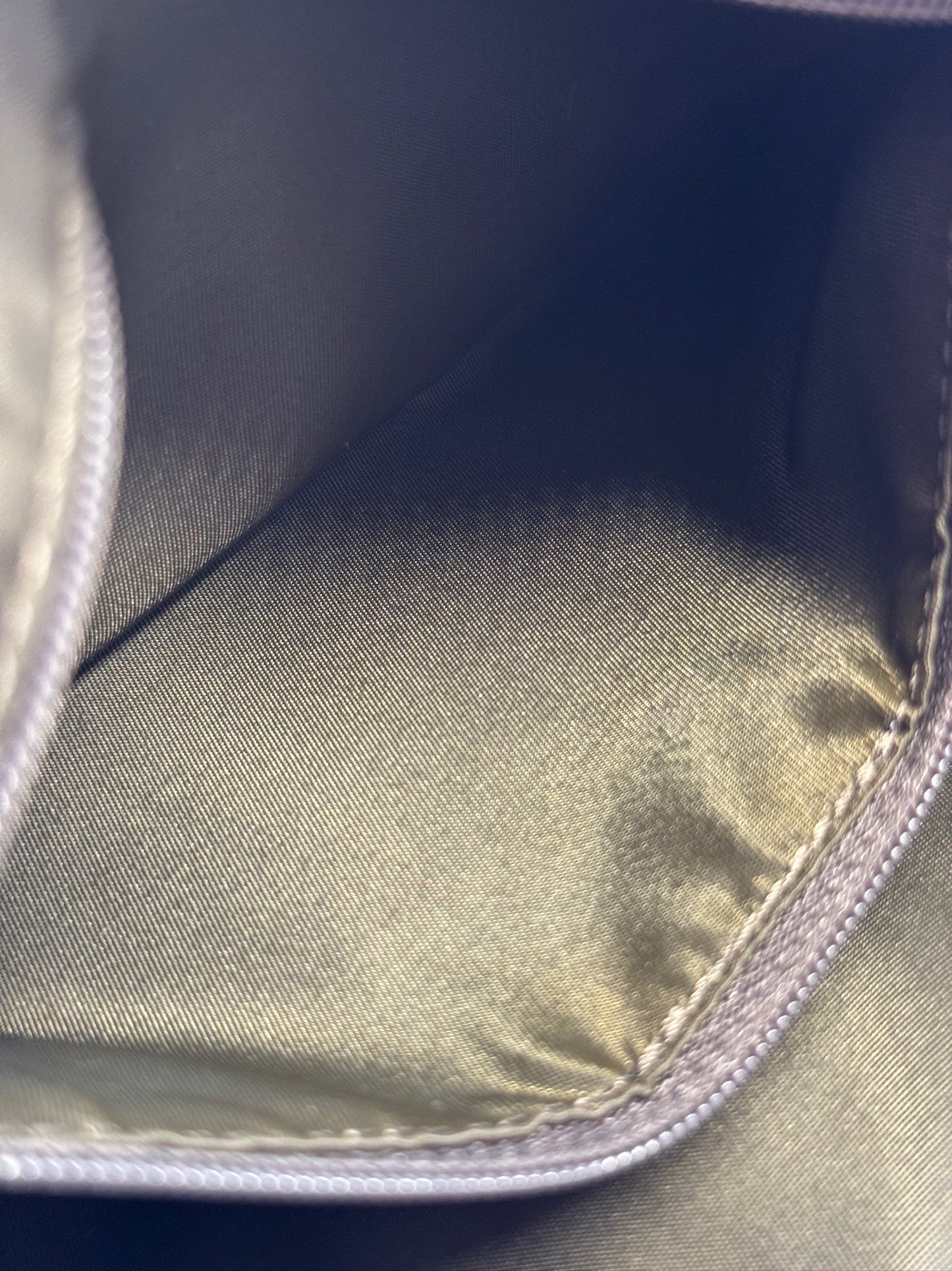 Dior Vintage 2007 Beige Satin Trotter Diorissimo Monogram Pochette Shoulder Bag