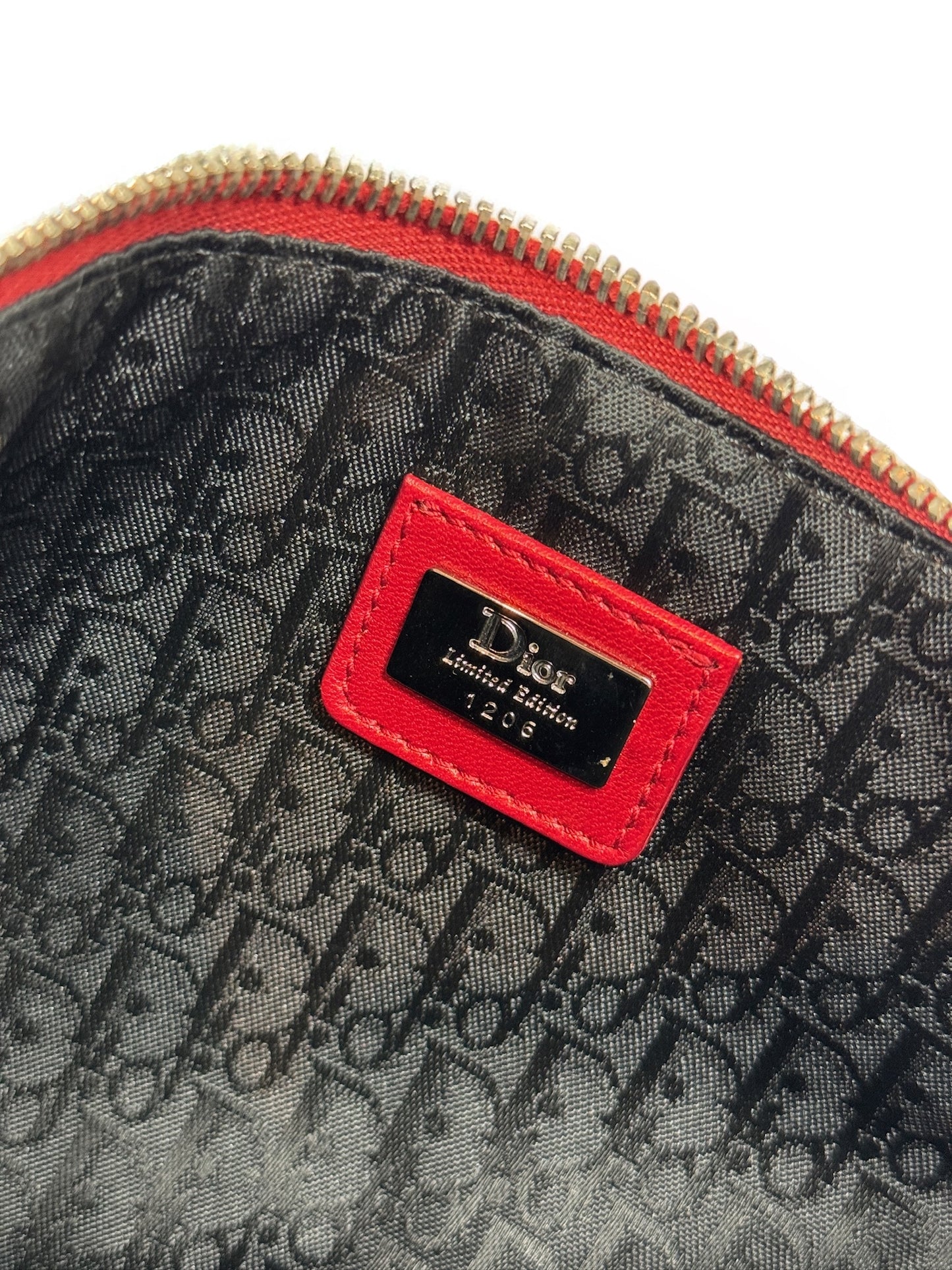 Dior Vintage 2003 Victim Print Canvas Mini Saddle Pochette Bag #1206