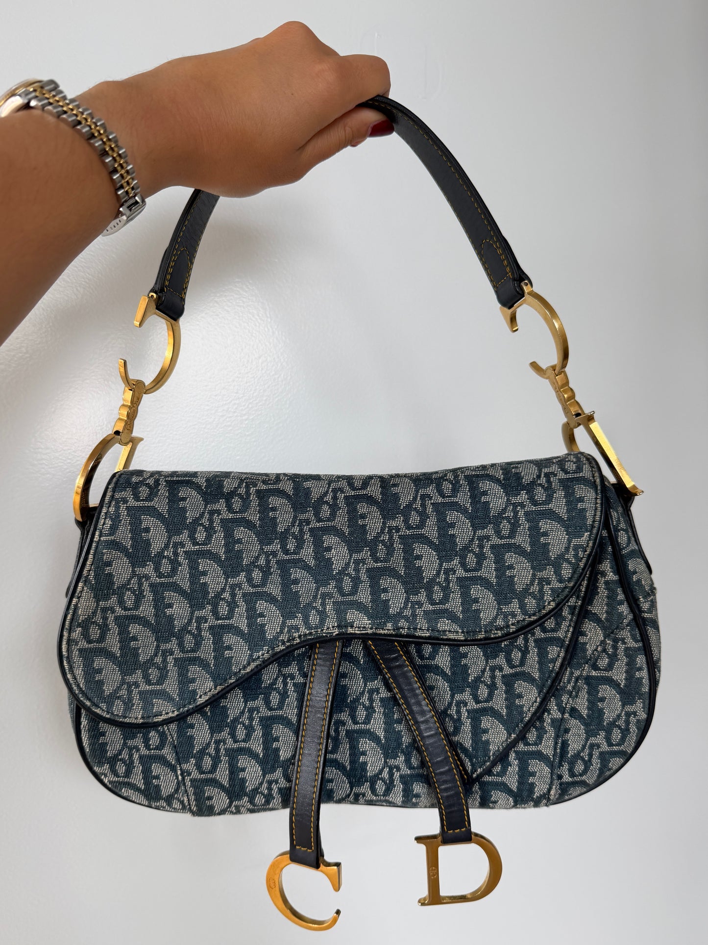 Dior Vintage 2002 Blue Trotter Monogram Double Saddle Bag