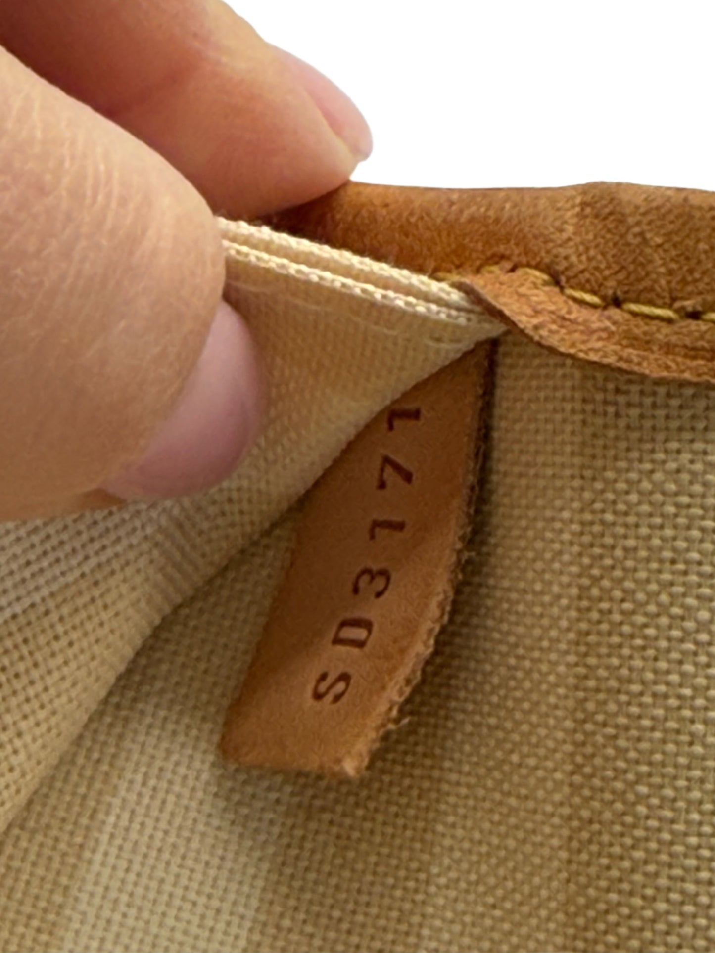 Louis Vuitton 2011 Monogram Rayures Neverfull MM Shoulder Tote Bag