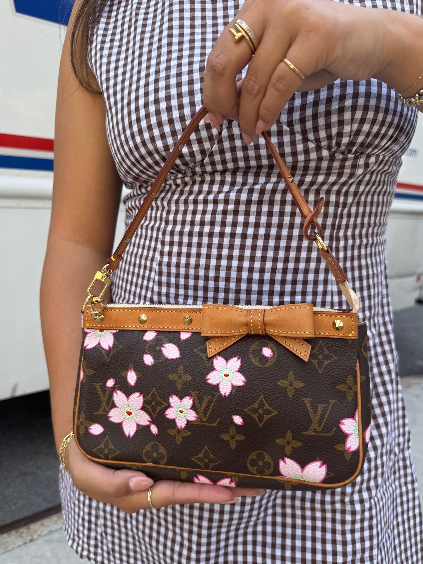 Louis Vuitton Vintage 2003 Takashi Murakami Brown Cherry Blossom Monogram Pochette Accessoires