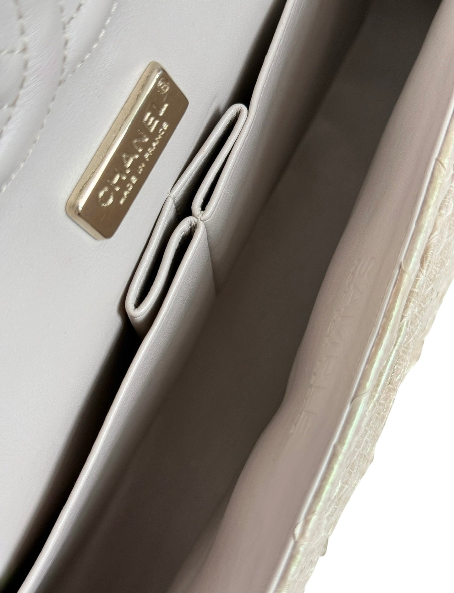 Chanel Iridescent Beige & Pink Python Classic Medium Double Flap Bag with Champagne Gold Hardware 